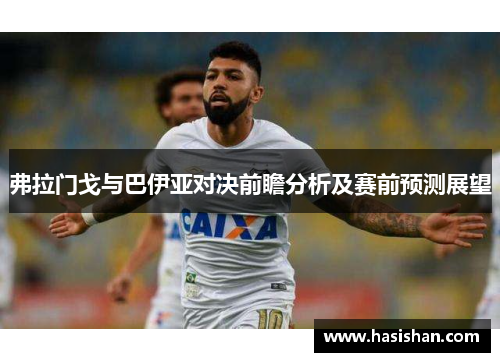 弗拉门戈与巴伊亚对决前瞻分析及赛前预测展望